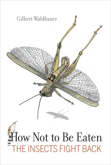 Cover: 9780520383005 | How Not to Be Eaten | The Insects Fight Back | Gilbert Waldbauer