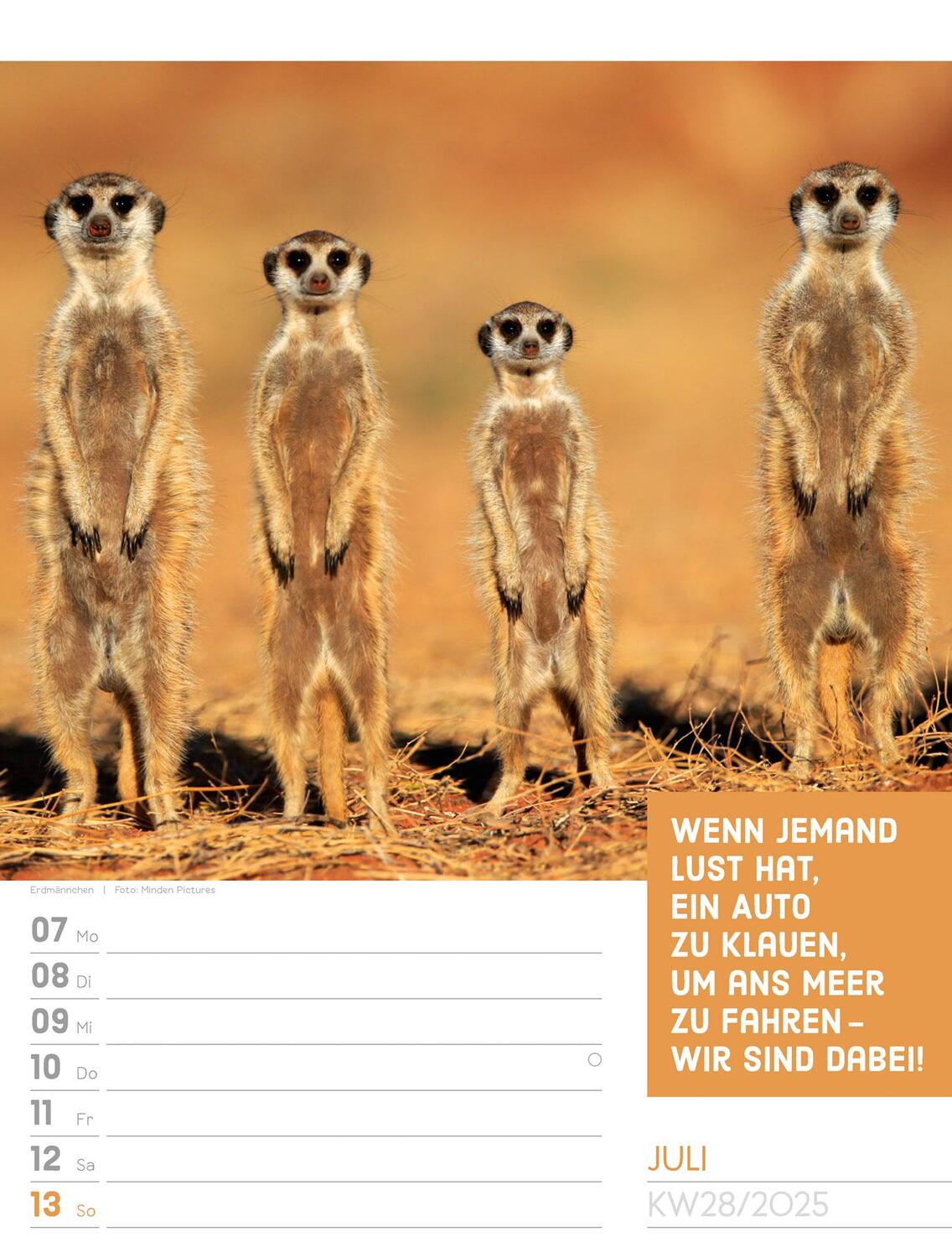 Bild: 9783838425962 | Tierisch! Sprüchekalender - Wochenplaner Kalender 2025 | Kunstverlag