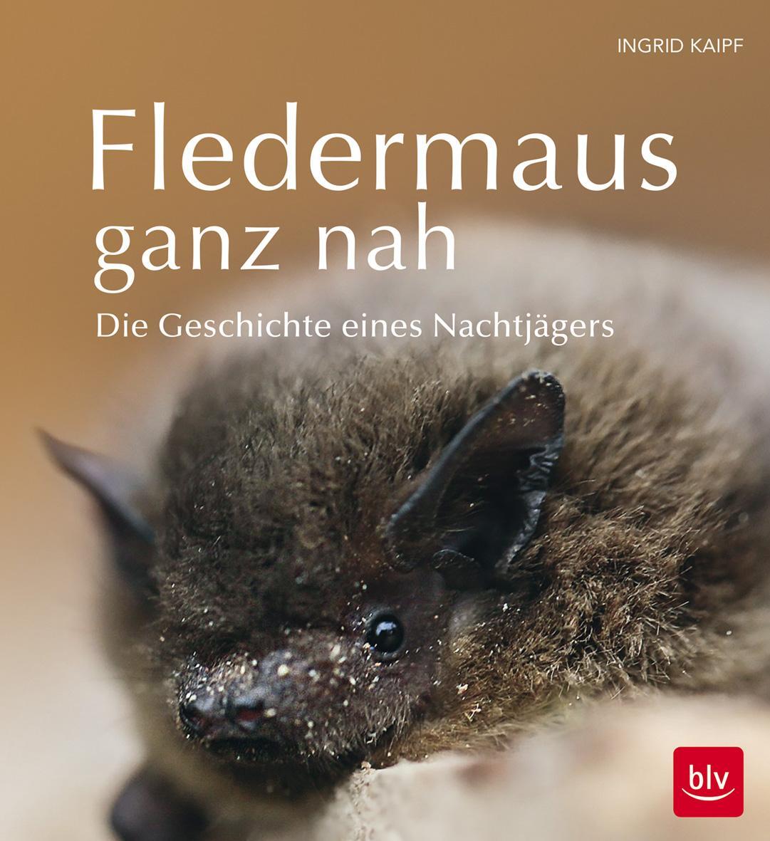 Cover: 9783835419032 | Fledermaus ganz nah | Die Geschichte eines Nachtjägers | Ingrid Kaipf