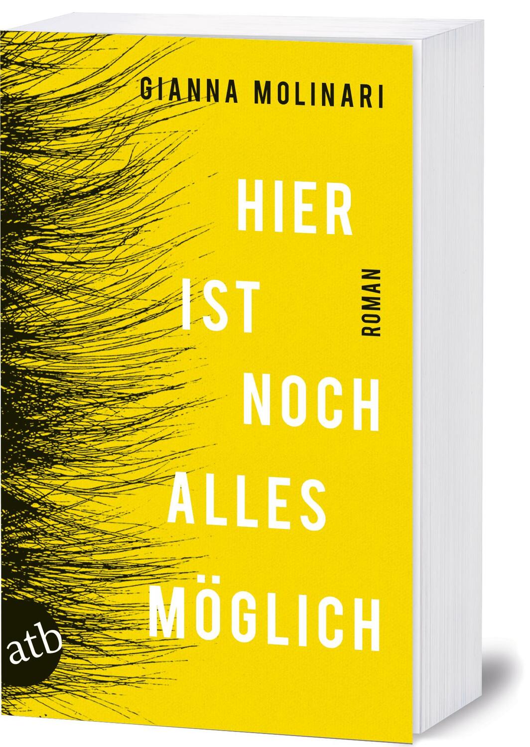 Bild: 9783746636849 | Hier ist noch alles möglich | Roman | Gianna Molinari | Taschenbuch