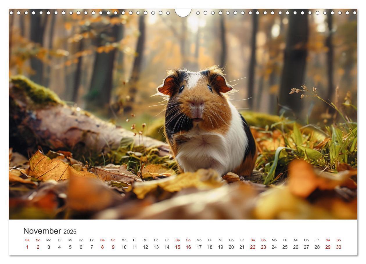 Bild: 9783383812293 | Wuschelbande - Ein Jahr voller Meerschweinchen (Wandkalender 2025...