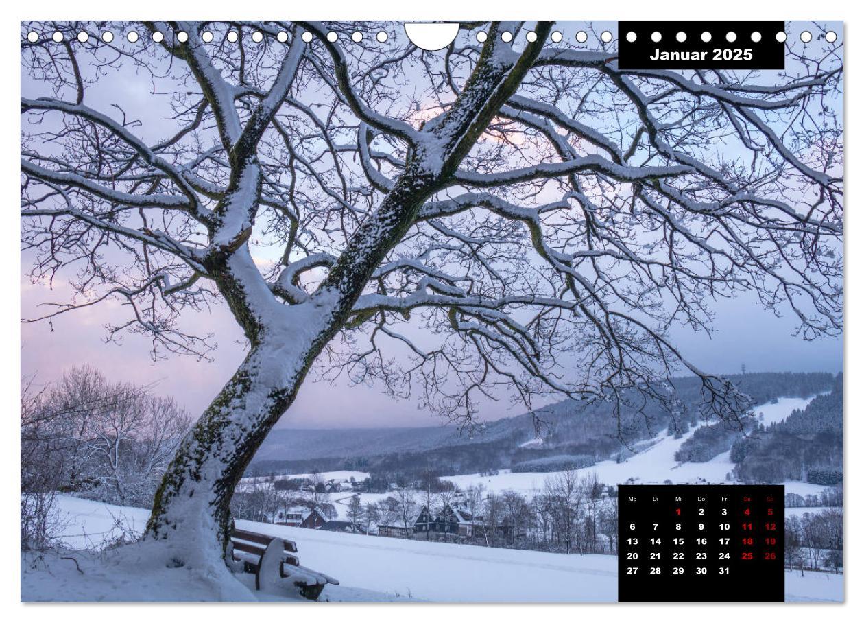 Bild: 9783435287499 | Malerisches Sauerland (Wandkalender 2025 DIN A4 quer), CALVENDO...