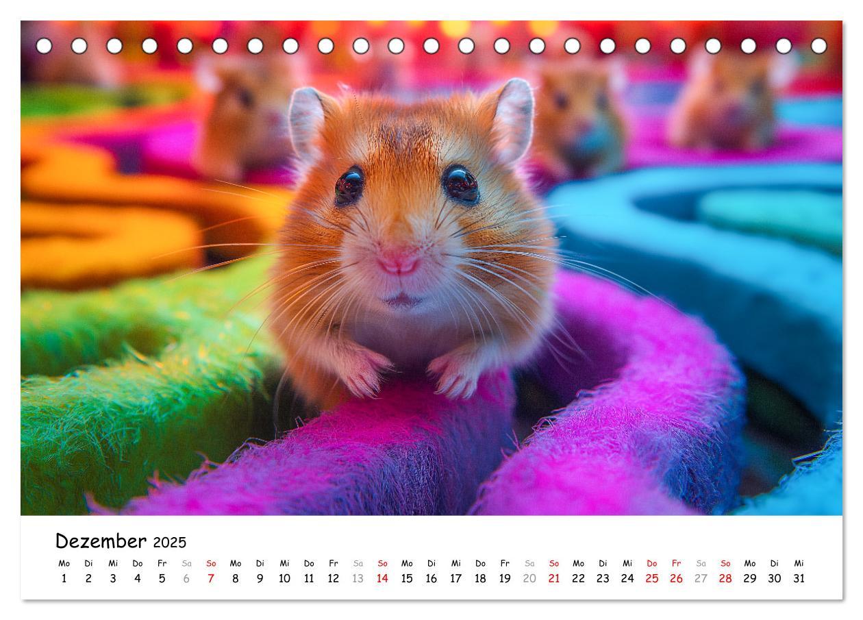 Bild: 9783457211694 | Hamster im Freizeitpark - Lustiger Kalender mit Jahrmarkt-Motiven...