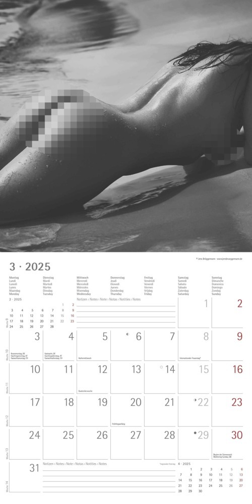 Bild: 4251732340988 | Alpha Edition - Feminine 2025 Broschürenkalender, 30x30cm,...