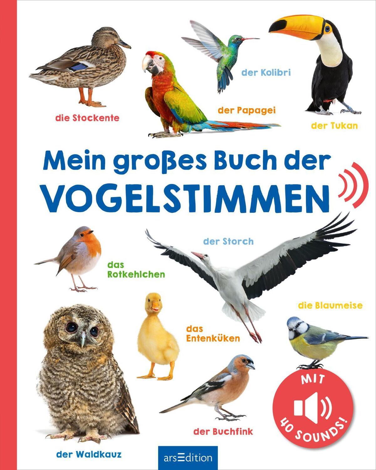 Bild: 9783845855325 | Mein großes Buch der Vogelstimmen | Mit 40 Sounds | Buch | 16 S.