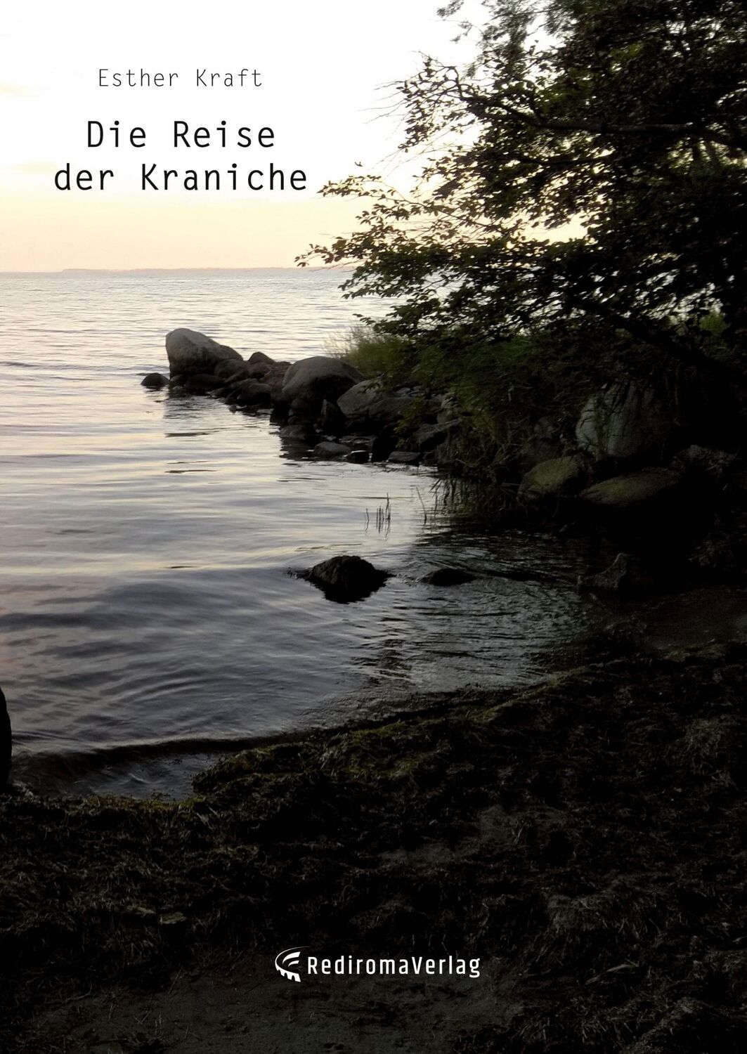 Cover: 9783985273256 | Die Reise der Kraniche | Esther Kraft | Taschenbuch | Paperback | 2022