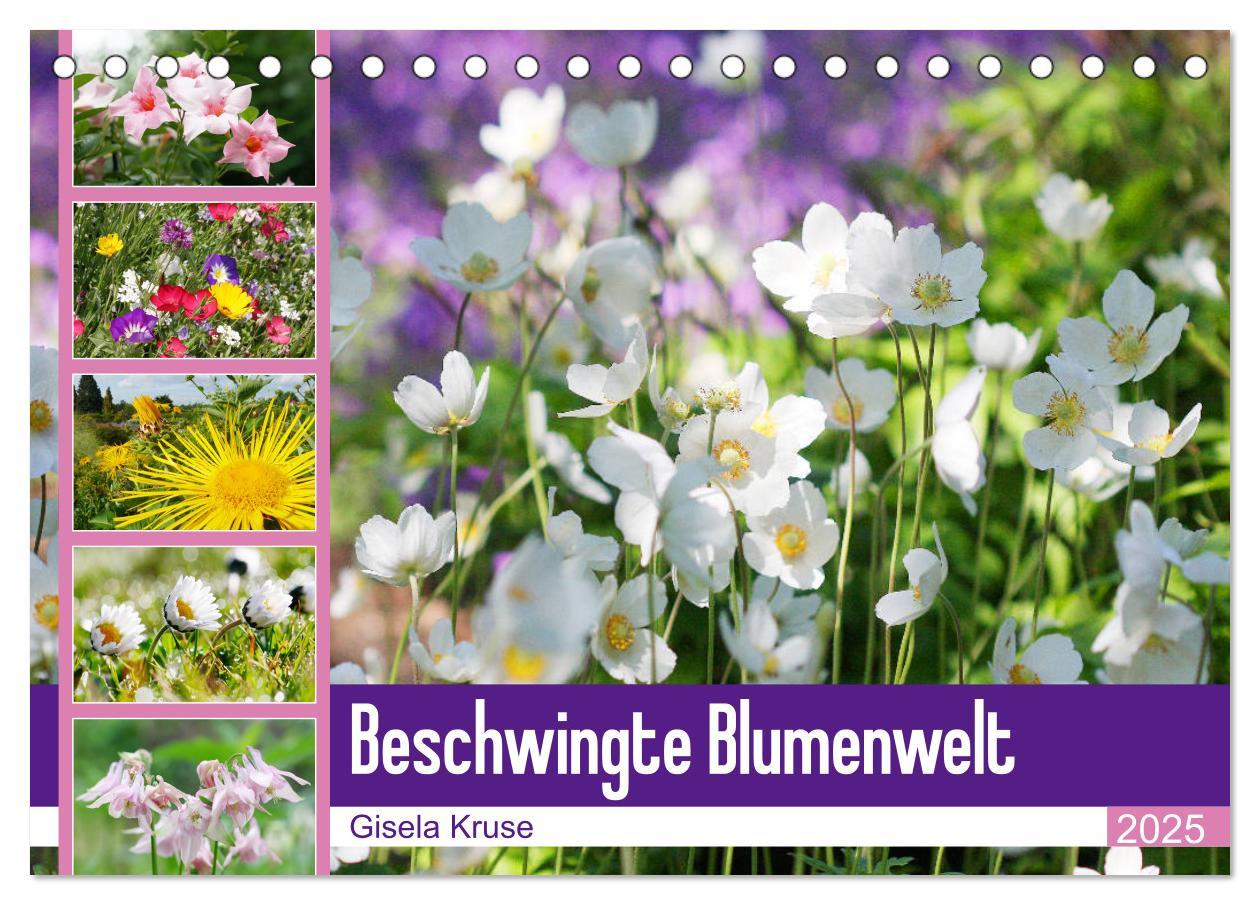 Cover: 9783435171576 | Beschwingte Blumenwelt (Tischkalender 2025 DIN A5 quer), CALVENDO...