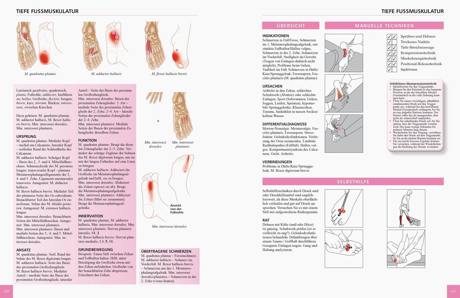 Bild: 9783767911055 | Referenzbuch Triggerpunkt Behandlung | Simeon Niel-Asher | Taschenbuch