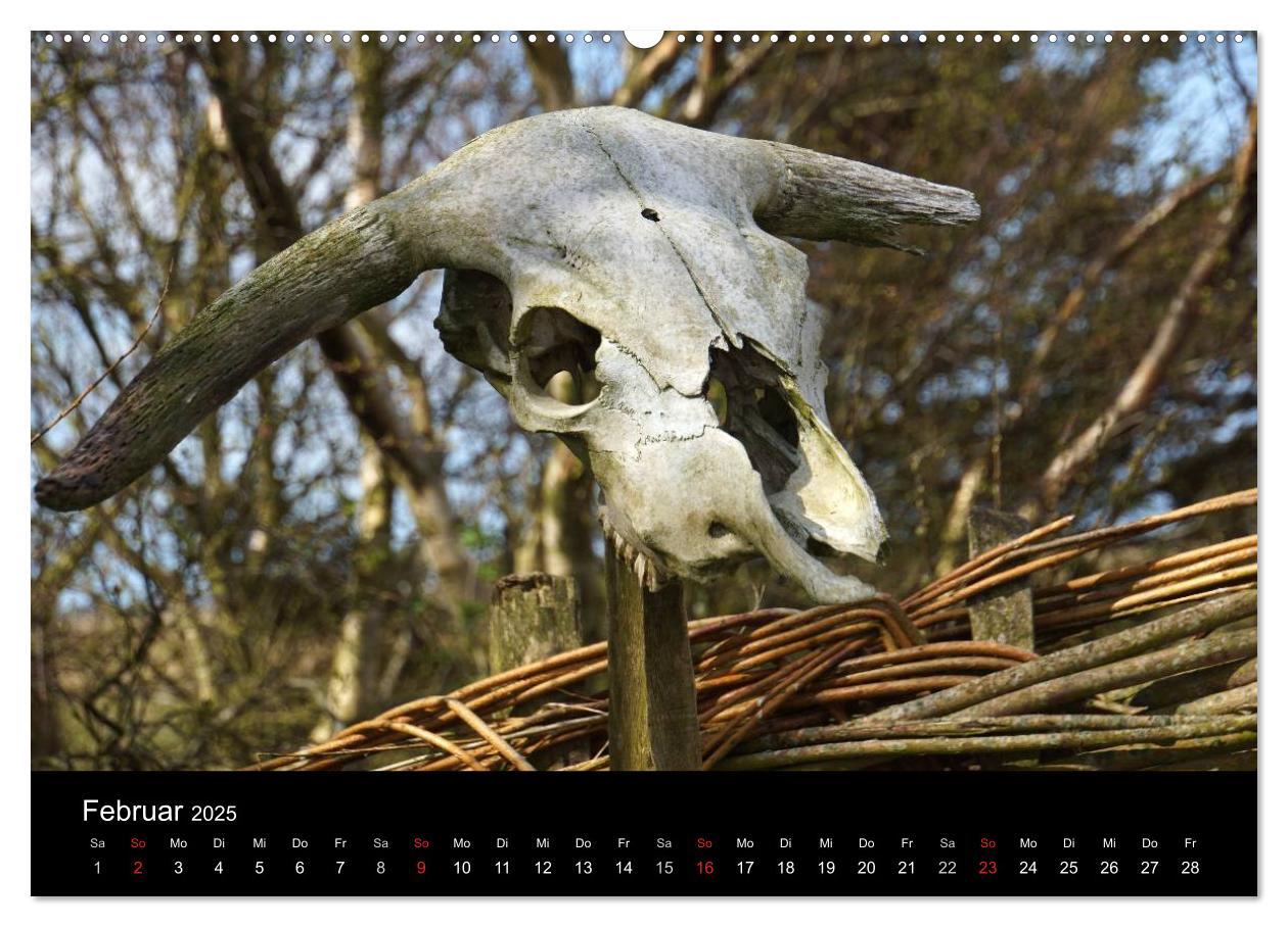 Bild: 9783435607884 | Dänemark - Umgebung von Hvide Sande (Wandkalender 2025 DIN A2...