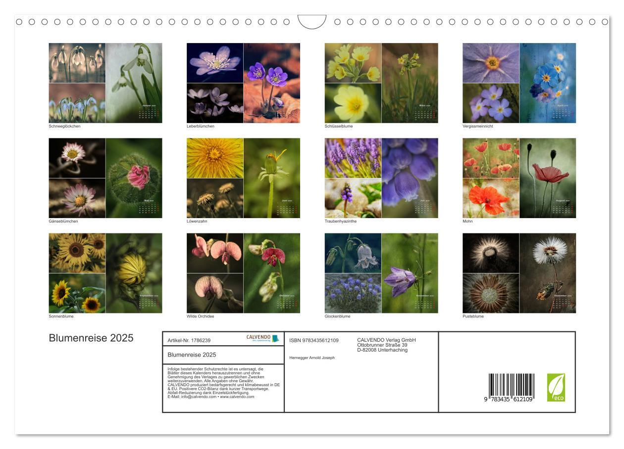 Bild: 9783435612109 | Blumenreise 2025 (Wandkalender 2025 DIN A3 quer), CALVENDO...