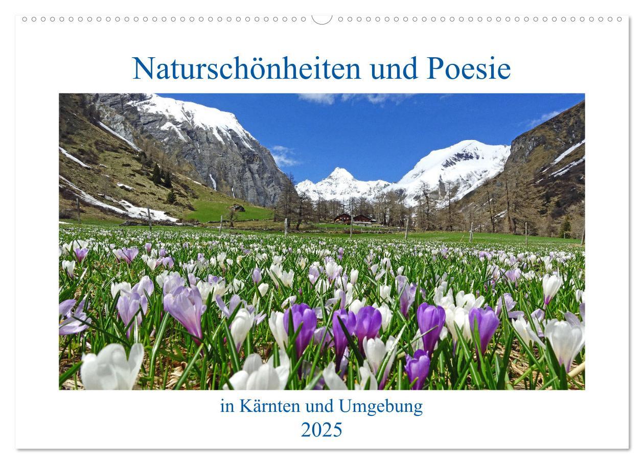 Cover: 9783383911682 | Naturschönheiten und Poesie in Kärnten und Umgebung (Wandkalender...