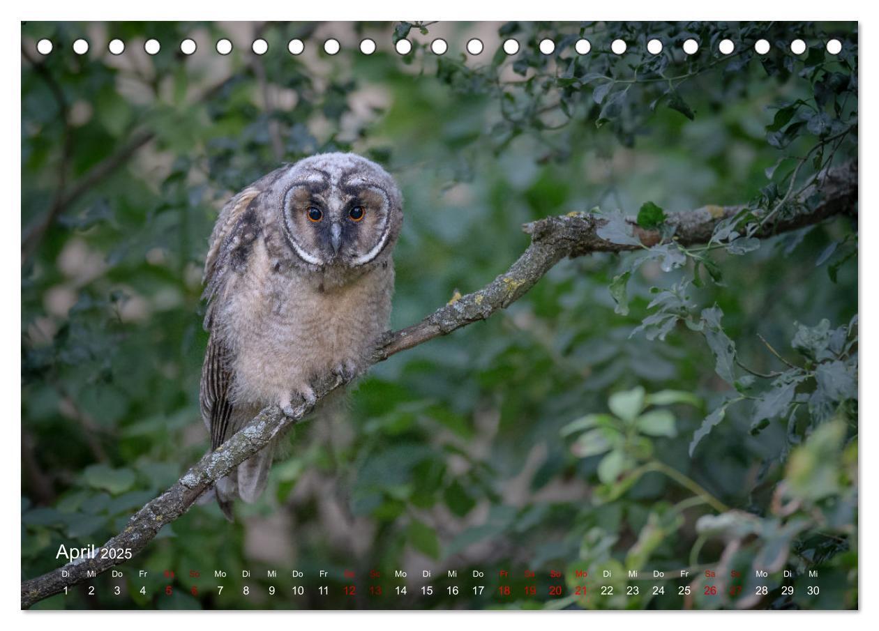 Bild: 9783435081769 | Moments in Nature (Tischkalender 2025 DIN A5 quer), CALVENDO...