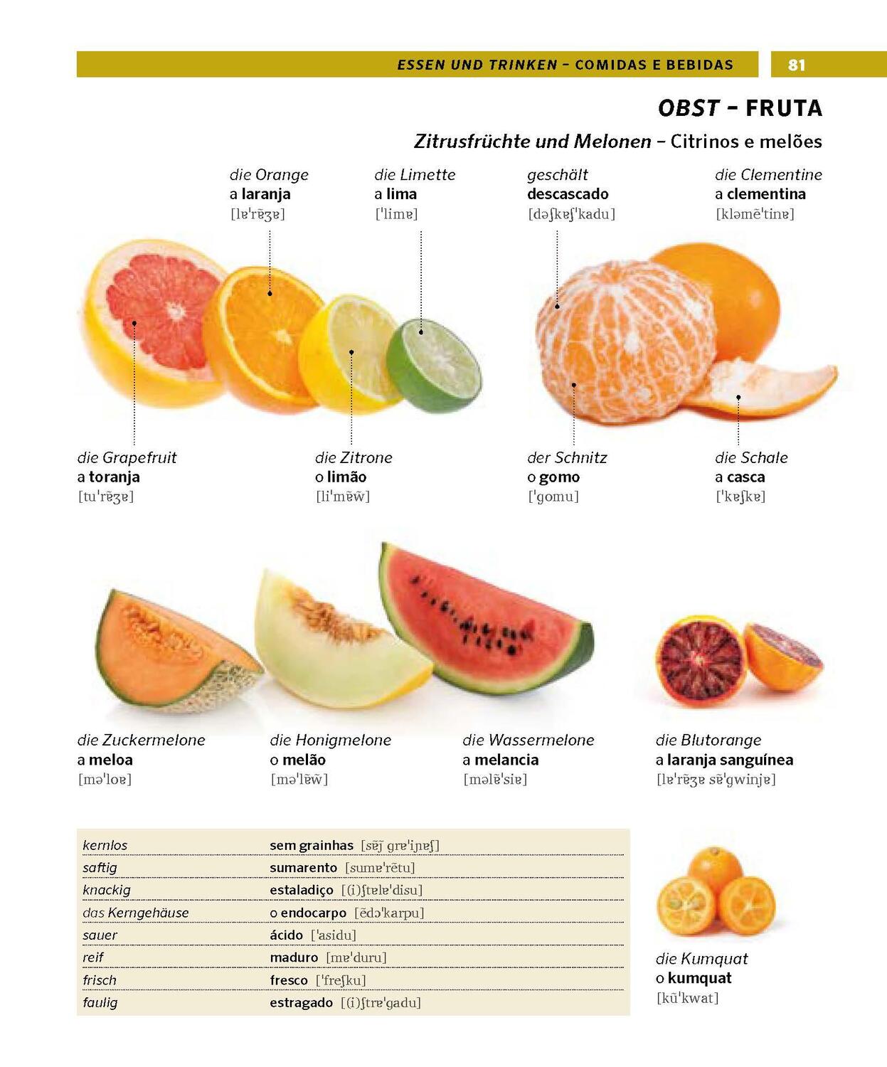 Bild: 9783125162884 | PONS Bildwörterbuch Portugiesisch | Taschenbuch | PONS Bildwörterbuch