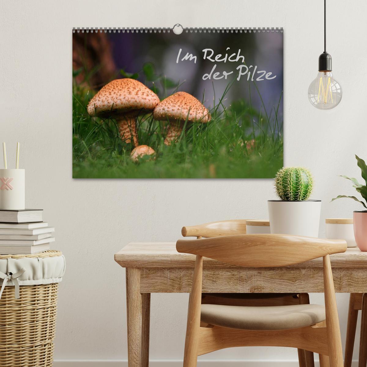 Bild: 9783435832187 | Im Reich der Pilze (Wandkalender 2025 DIN A3 quer), CALVENDO...