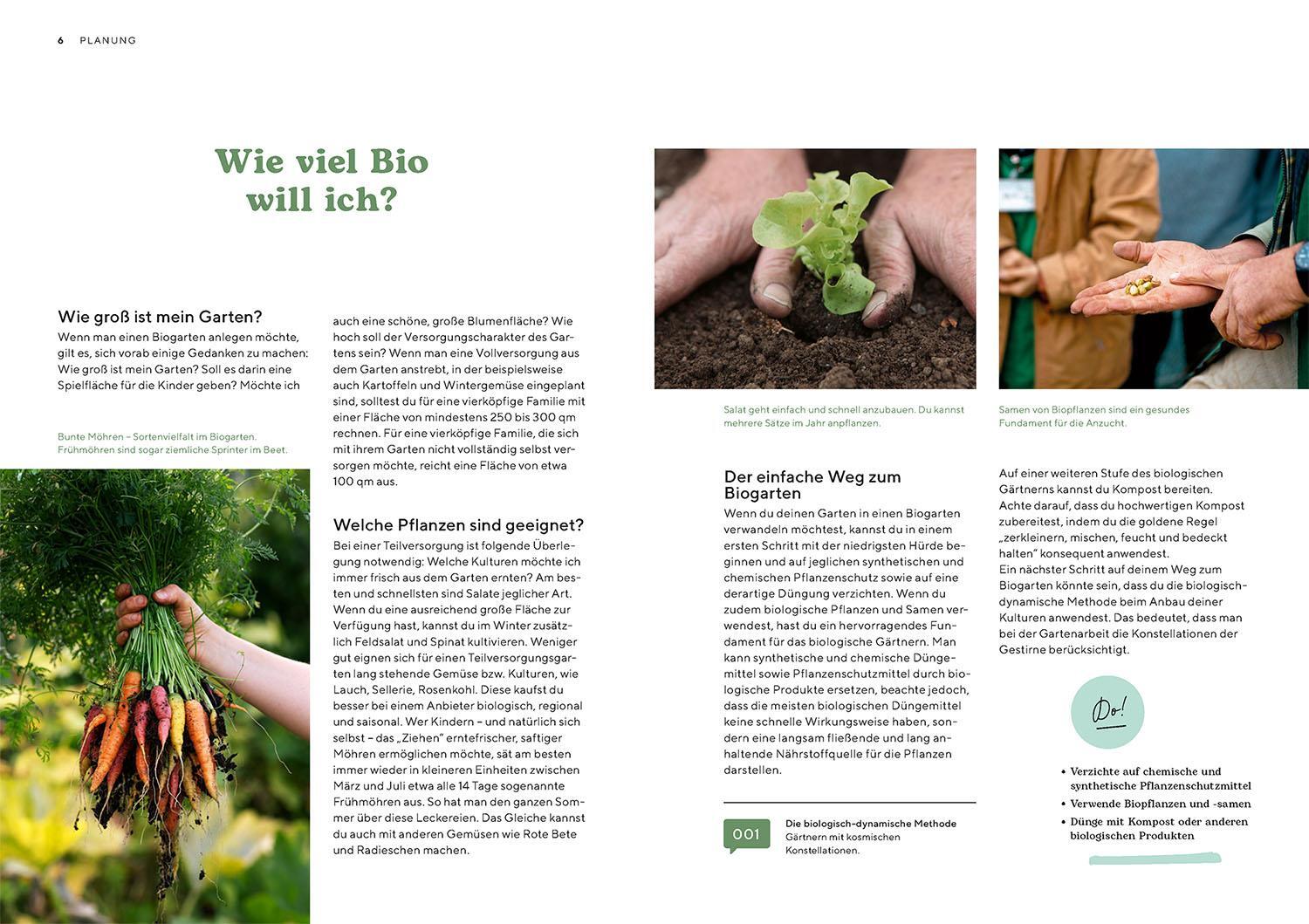 Bild: 9783440176504 | Biogärtnern | Ernte dein eigenes Gemüse | Peter Berg | Taschenbuch