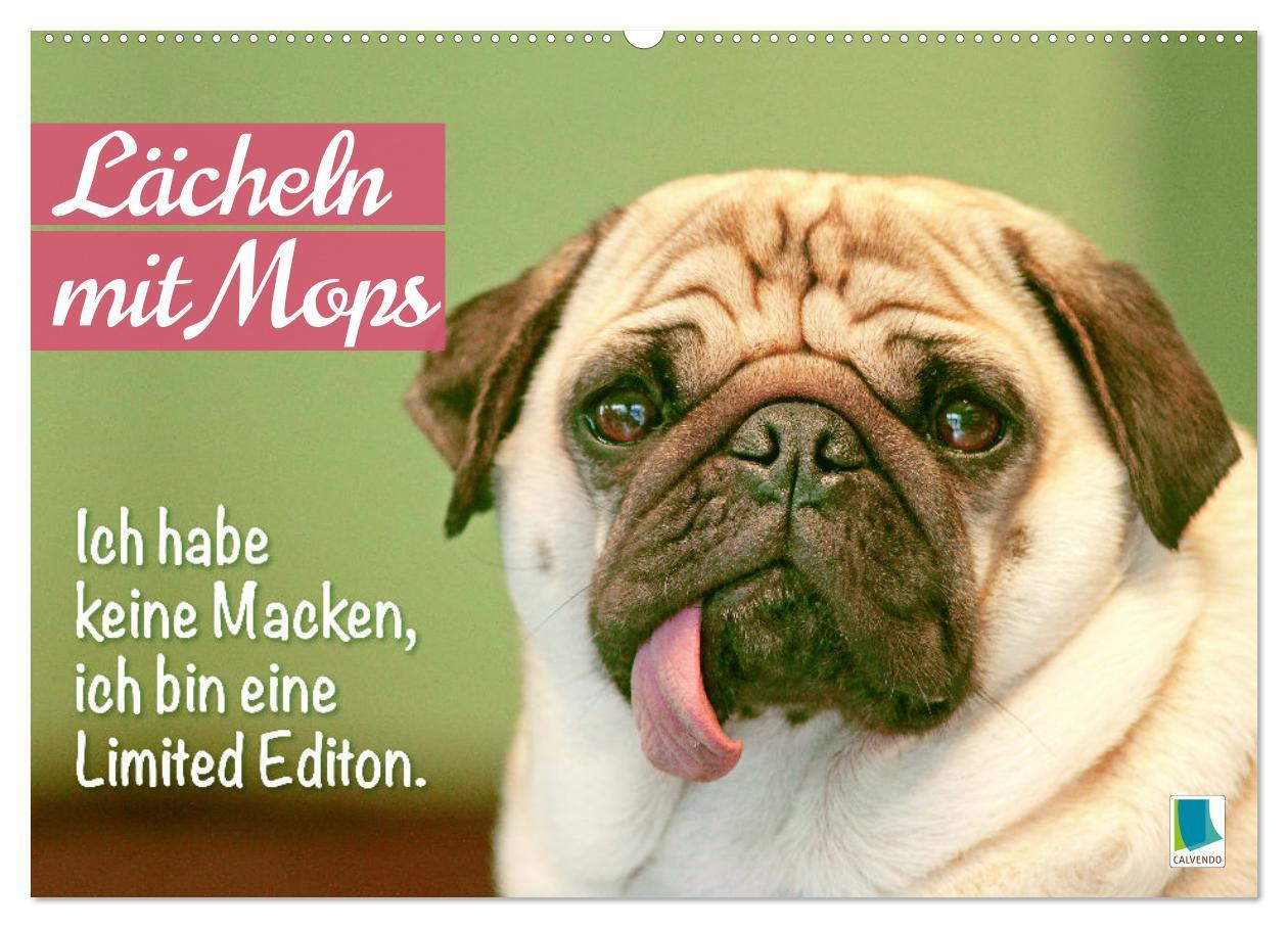 Cover: 9783457167205 | Lächeln mit Mops (Wandkalender 2025 DIN A2 quer), CALVENDO...