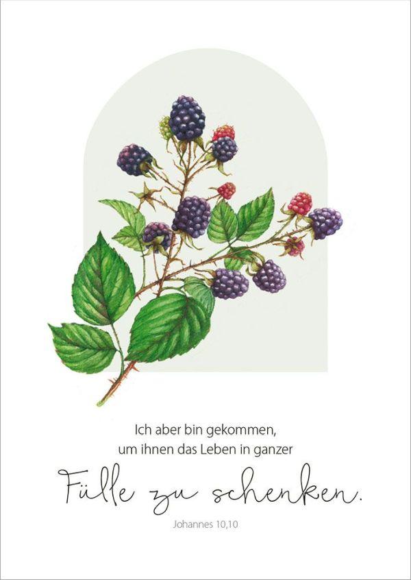 Bild: 4029856840857 | GartenGlück - Postkartenset | 18 Postkarten mit Bibelversen | Plato