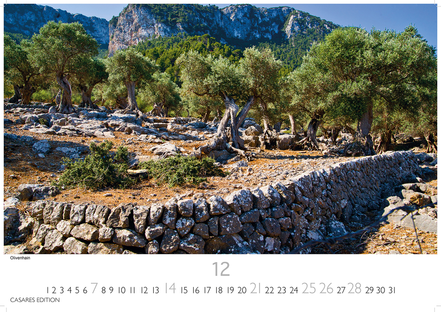 Bild: 9781835240335 | Spanien 2025 S 24x35 cm | Kalender | 14 S. | Deutsch | 2025