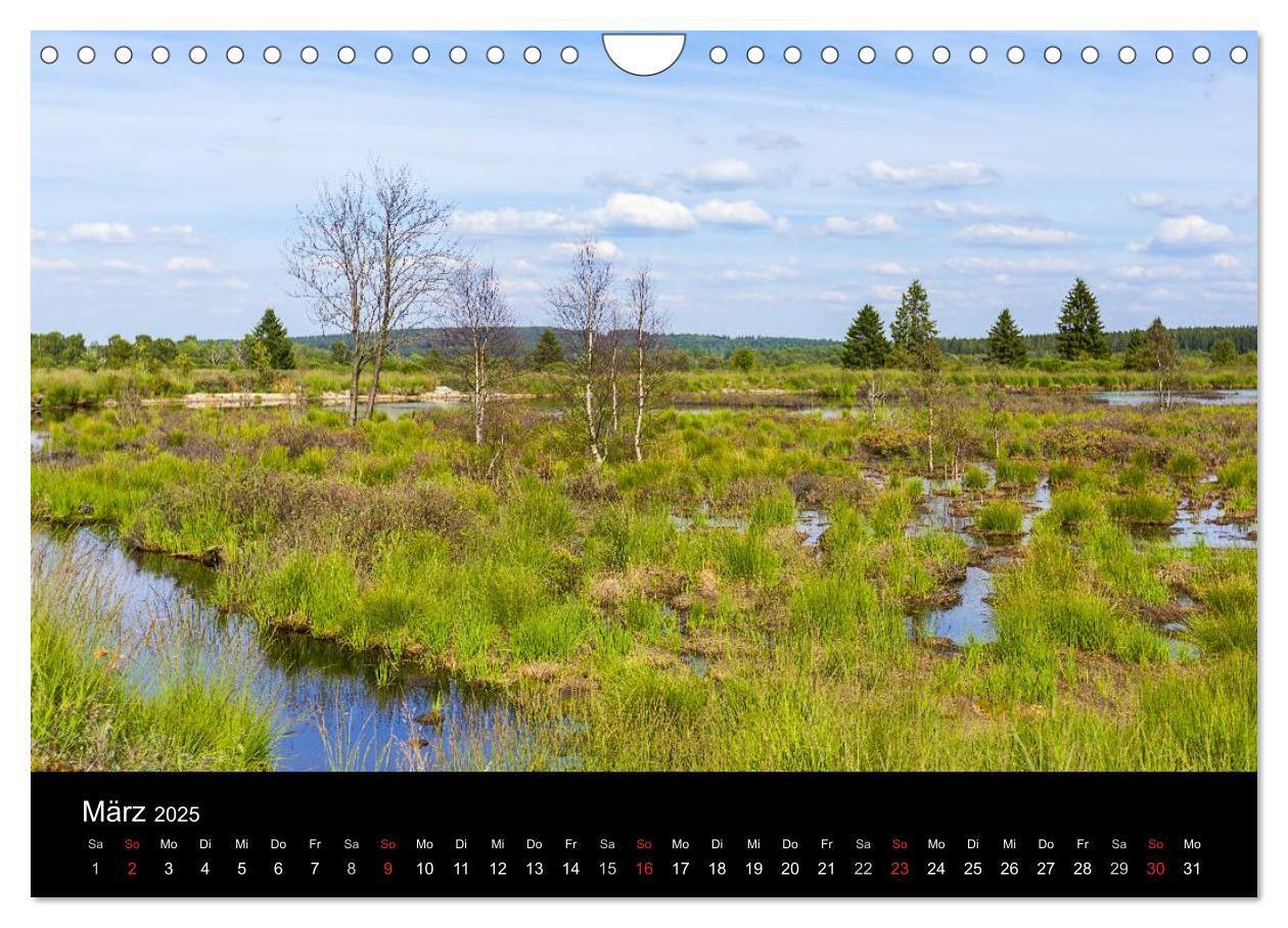 Bild: 9783435558087 | HOHES VENN - Einblicke in ein Hochmoor (Wandkalender 2025 DIN A4...