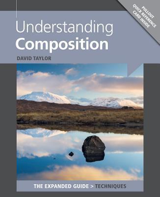 Cover: 9781781450512 | Understanding Composition | D. Taylor | Taschenbuch | Englisch | 2014