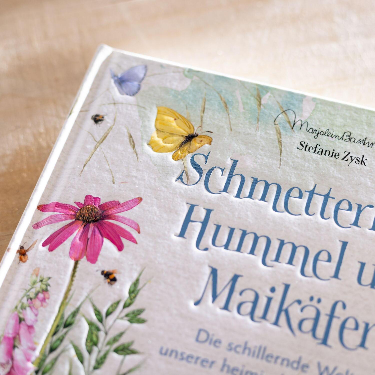 Bild: 9783649644736 | Schmetterling, Hummel und Maikäfer | Stefanie Zysk | Buch | 144 S.