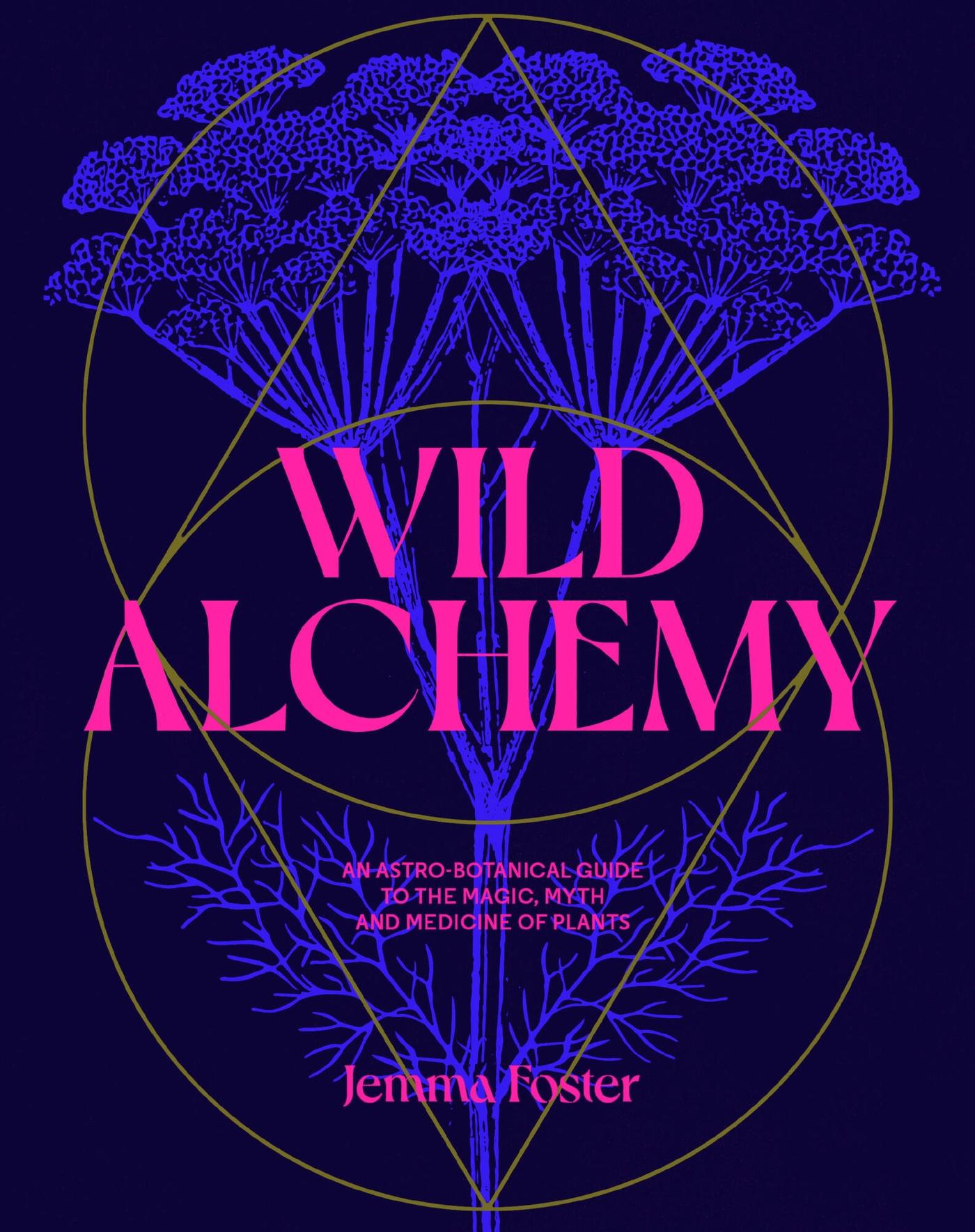 Cover: 9780857829153 | Wild Alchemy | Jemma Foster | Buch | 192 S. | Englisch | 2024