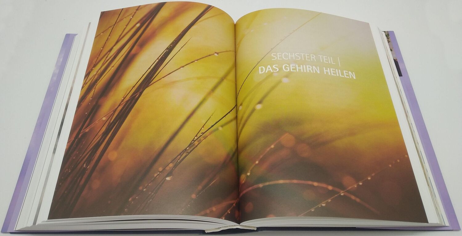 Bild: 9783442342839 | Heile dein Gehirn - Das Basisbuch | Anthony William | Buch | 704 S.