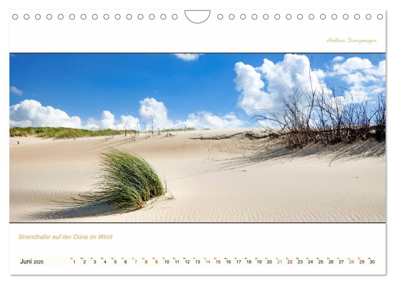 Bild: 9783435248025 | NORDERNEY PANORAMA (Wandkalender 2025 DIN A4 quer), CALVENDO...