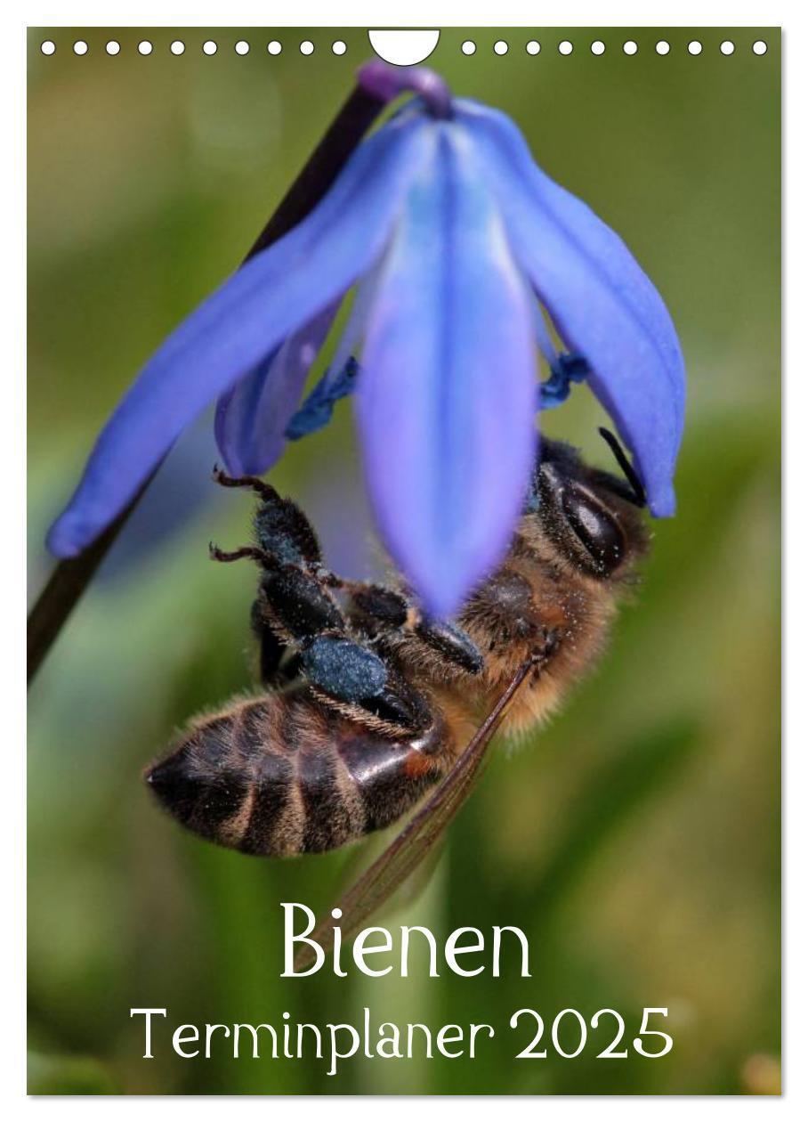 Cover: 9783457030813 | Bienen-Terminplaner 2025 (Wandkalender 2025 DIN A4 hoch), CALVENDO...