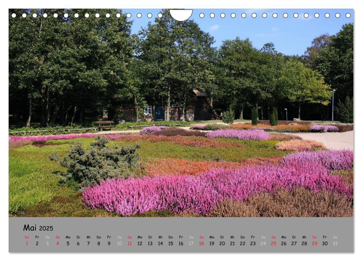 Bild: 9783435679232 | Lüneburger Heide - schön zu jeder Jahreszeit (Wandkalender 2025 DIN...