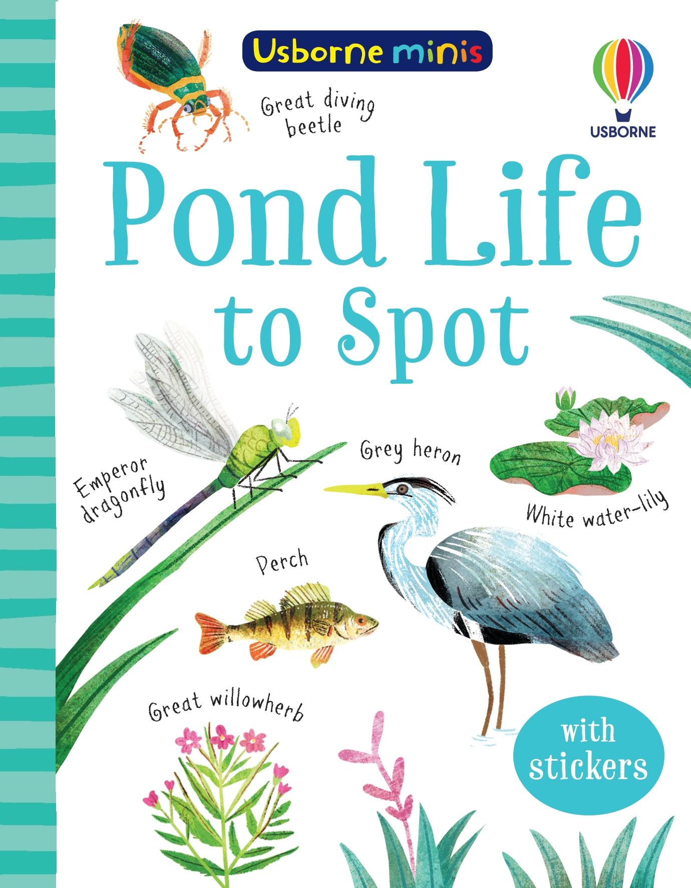 Cover: 9781474975018 | Pond Life to Spot | Kate Nolan | Taschenbuch | Usborne Minis | 2021