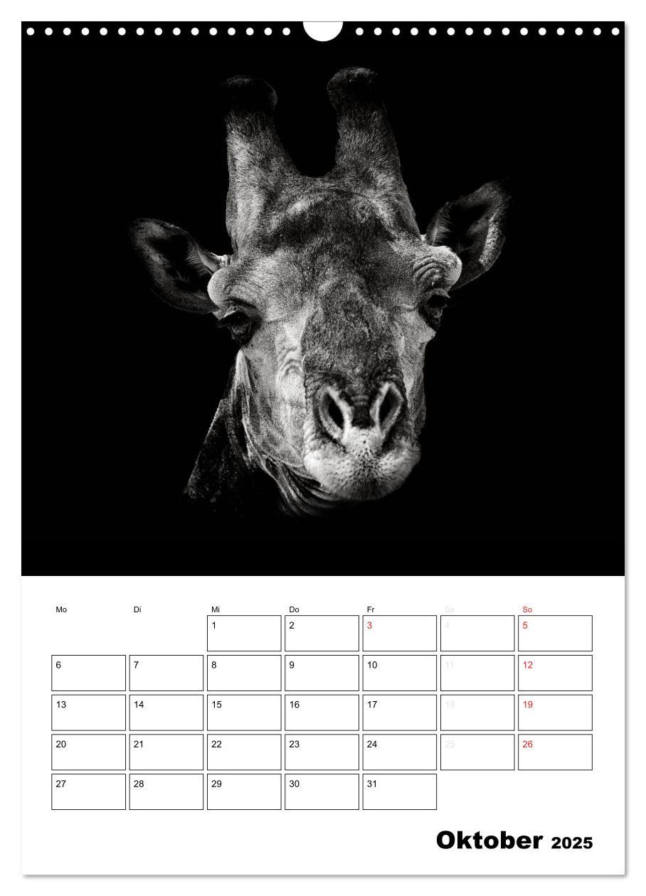 Bild: 9783457013199 | Charakterköpfe aus der Welt der Tiere (Wandkalender 2025 DIN A3...