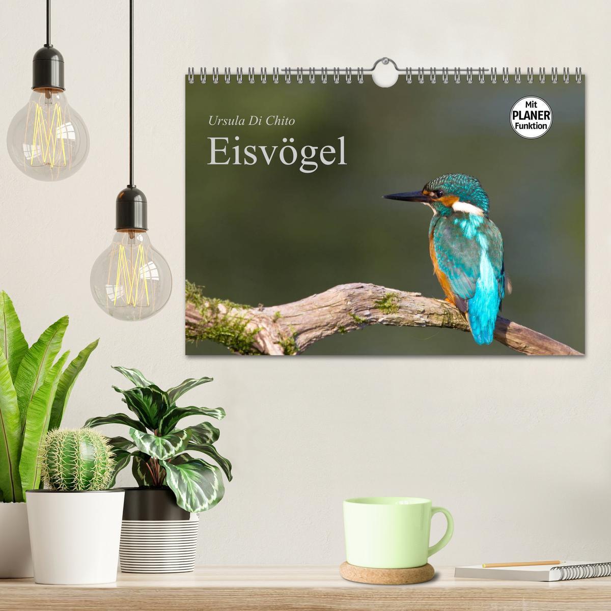 Bild: 9783435797257 | Eisvögel (Wandkalender 2025 DIN A4 quer), CALVENDO Monatskalender