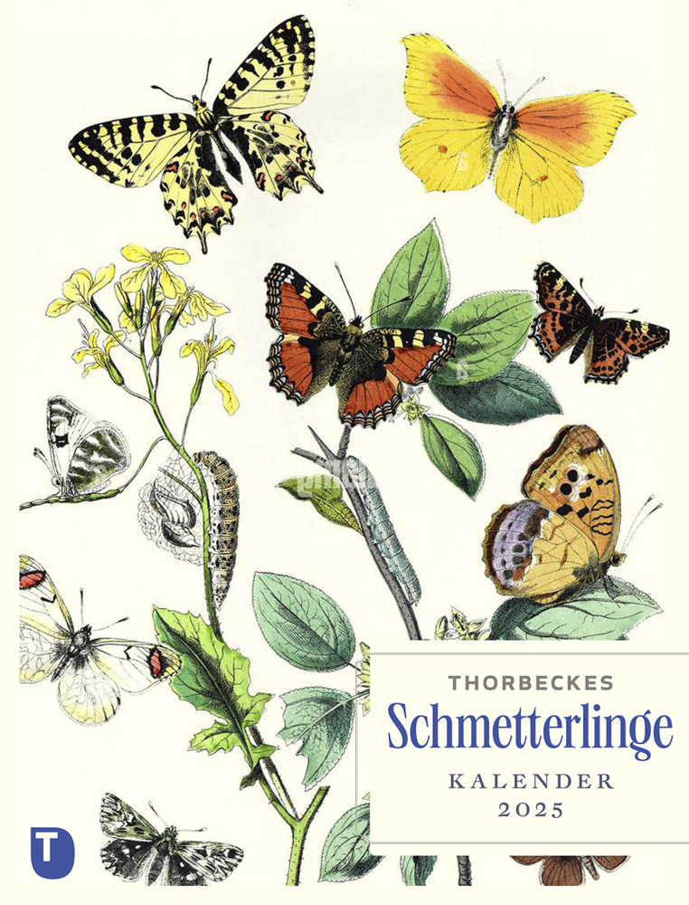 Cover: 9783799520492 | Thorbeckes Schmetterlinge-Kalender 2025 | Kalender | Spiralbindung