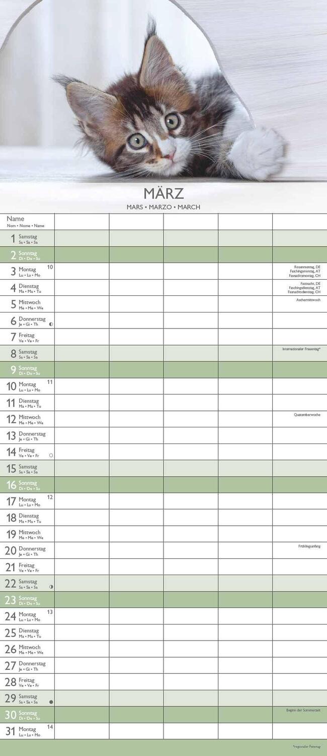 Bild: 4251732341381 | Kätzchen 2025 Familienplaner - Familienkalender - Wandkalender -...