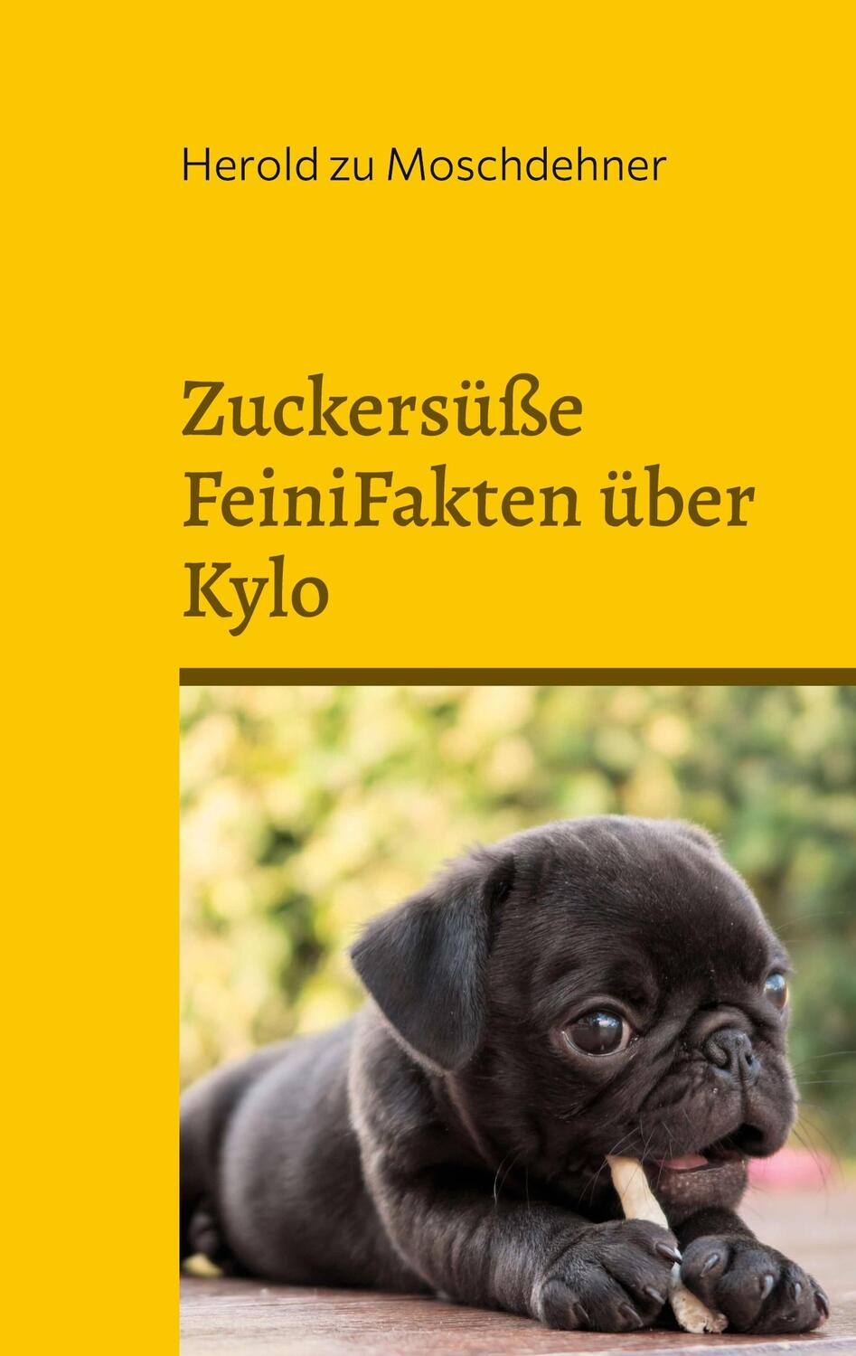 Cover: 9783754357217 | Zuckersüße FeiniFakten über Kylo | DE | Herold zu Moschdehner | Buch