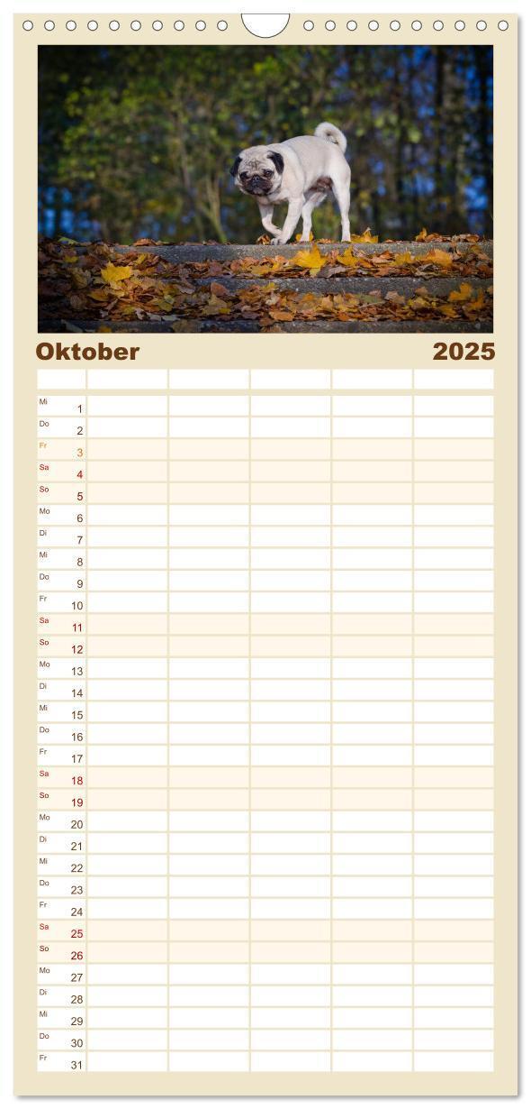 Bild: 9783457113592 | Familienplaner 2025 - Mops mit 5 Spalten (Wandkalender, 21 x 45 cm)...