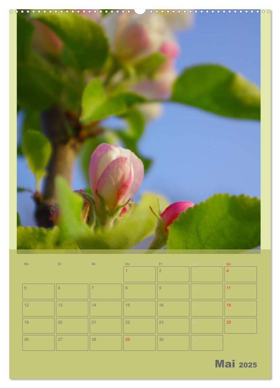 Bild: 9783457087817 | Naturbilder (Wandkalender 2025 DIN A2 hoch), CALVENDO Monatskalender