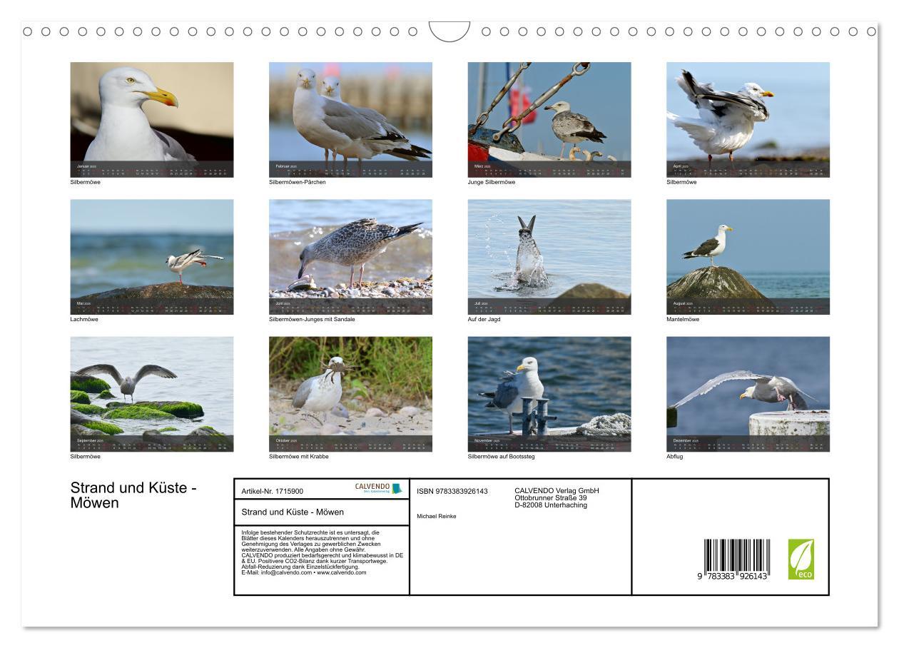 Bild: 9783383926143 | Strand und Küste - Möwen (Wandkalender 2025 DIN A3 quer), CALVENDO...