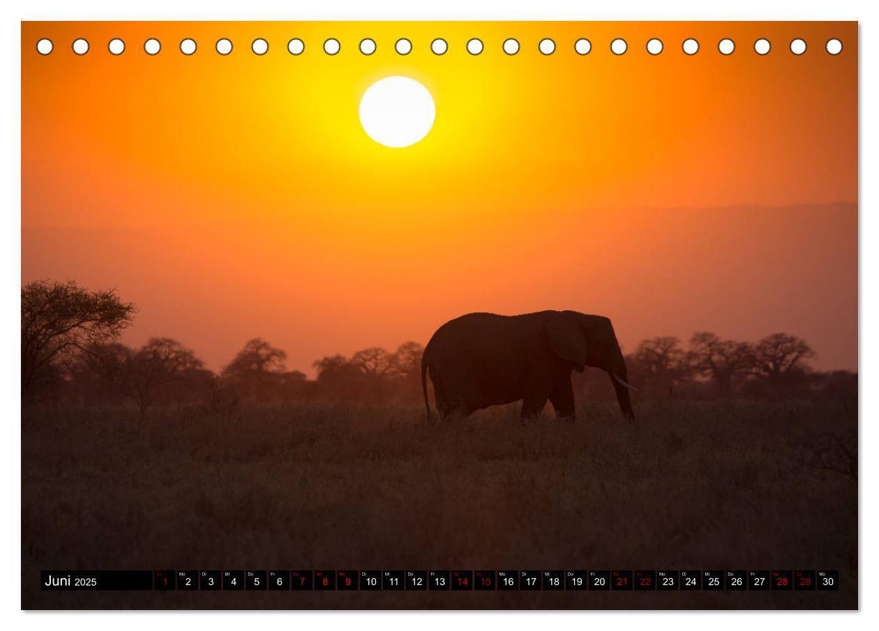 Bild: 9783435341252 | Tansania - Tierwanderung in der Serengeti (Tischkalender 2025 DIN...