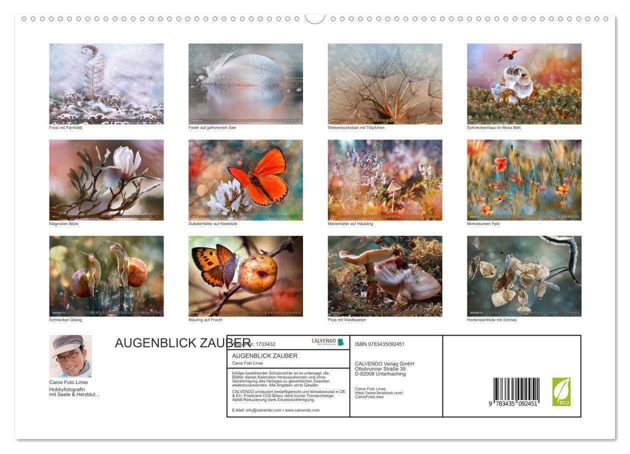 Bild: 9783435092451 | AUGENBLICK ZAUBER (hochwertiger Premium Wandkalender 2025 DIN A2...