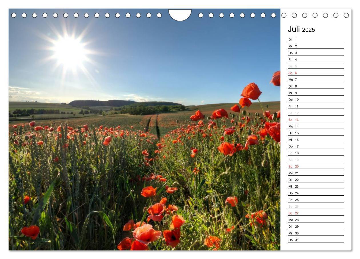 Bild: 9783435218646 | Ein Traum von Mohn (Wandkalender 2025 DIN A4 quer), CALVENDO...