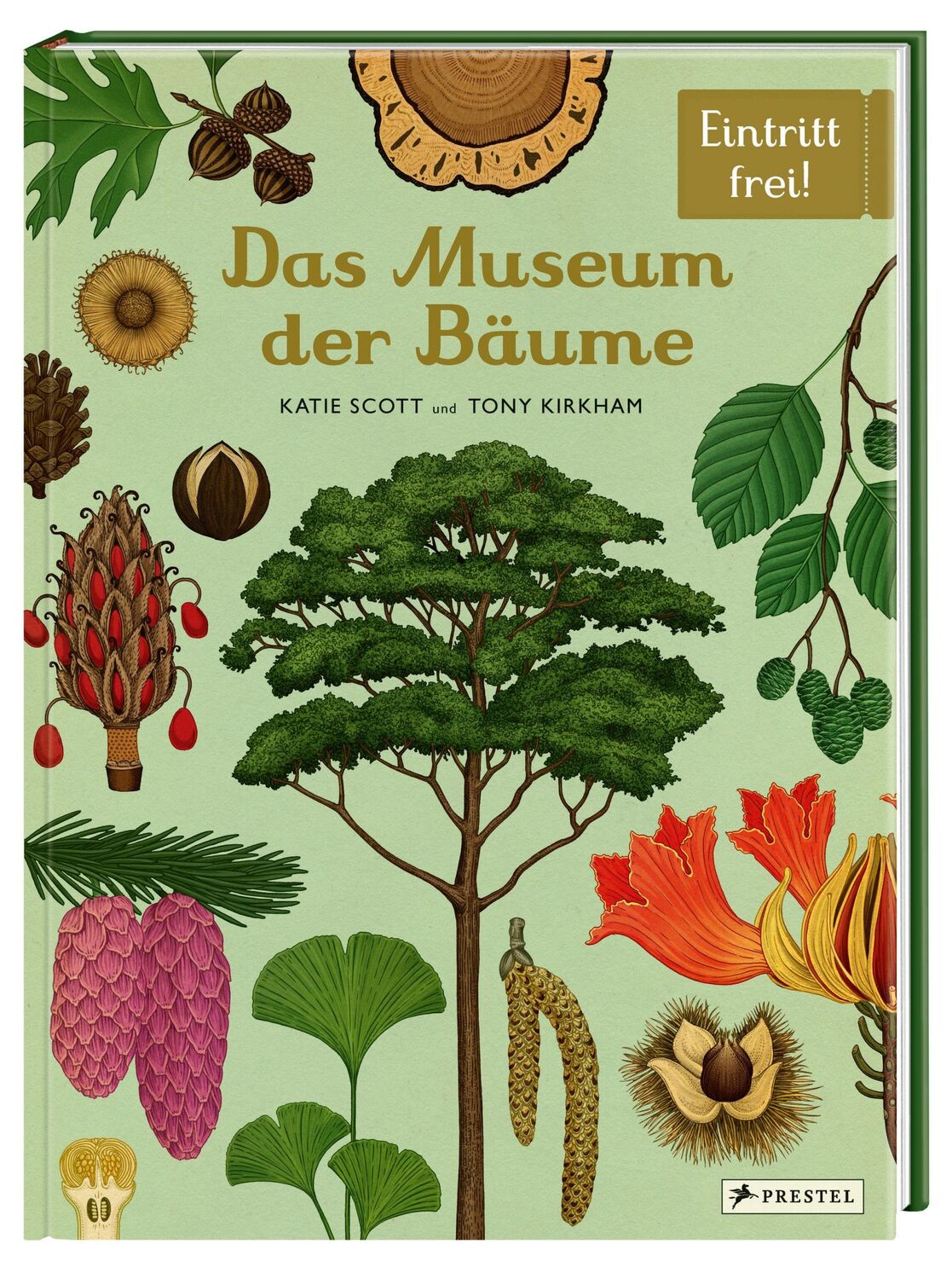 Bild: 9783791375540 | Das Museum der Bäume | Eintritt frei! | Tony Kirkham (u. a.) | Buch