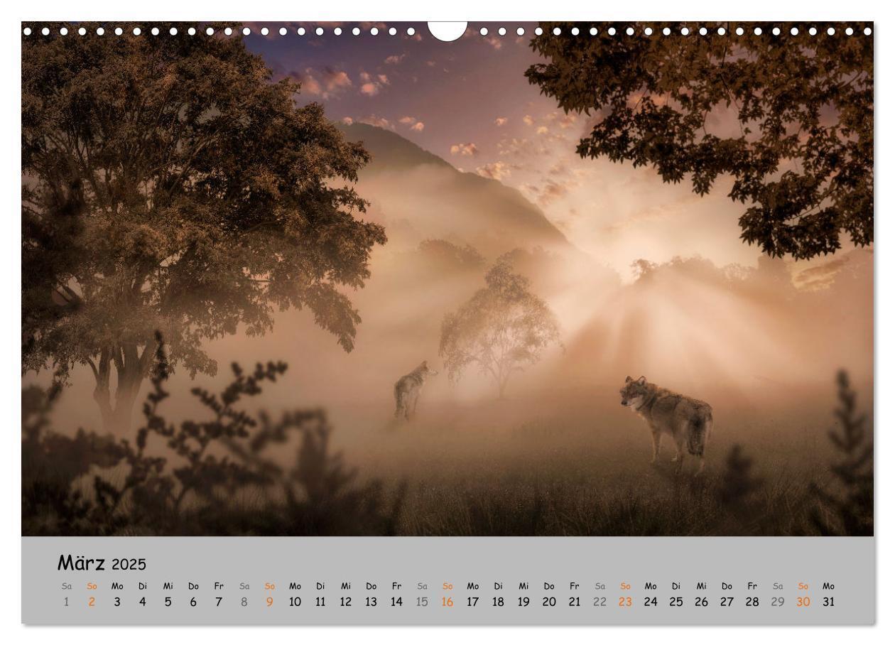 Bild: 9783435079797 | Der lange Weg der Wölfe (Wandkalender 2025 DIN A3 quer), CALVENDO...