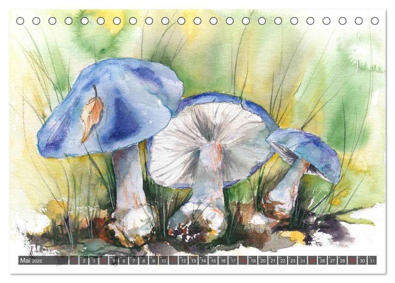 Bild: 9783435593545 | Pilze in Aquarell (Tischkalender 2025 DIN A5 quer), CALVENDO...