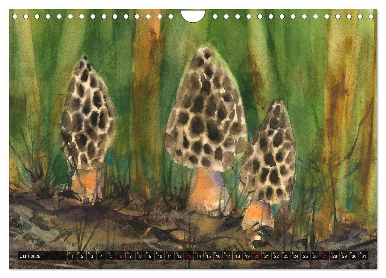 Bild: 9783435602124 | Pilze in Aquarell (Wandkalender 2025 DIN A4 quer), CALVENDO...