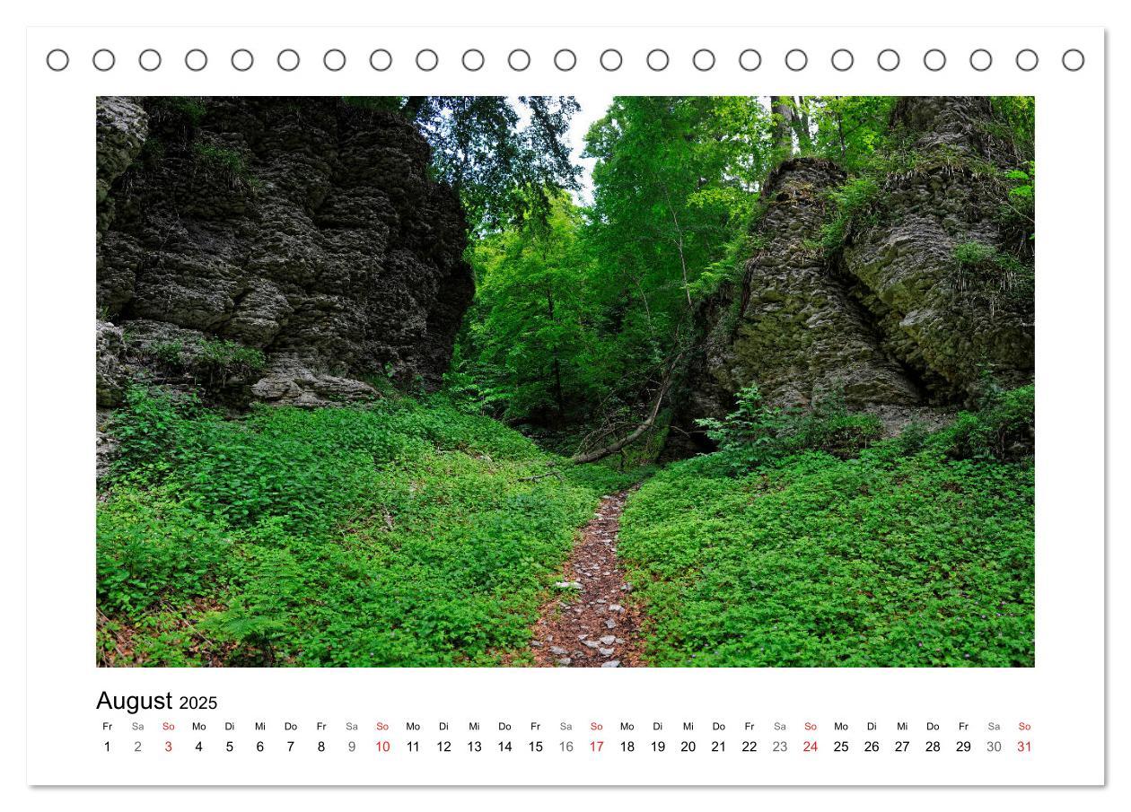 Bild: 9783435154623 | Impressionen aus Ostwestfalen-Lippe (Tischkalender 2025 DIN A5...