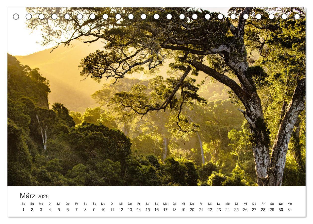 Bild: 9783435057191 | Bezauberndes Südafrika (Tischkalender 2025 DIN A5 quer), CALVENDO...