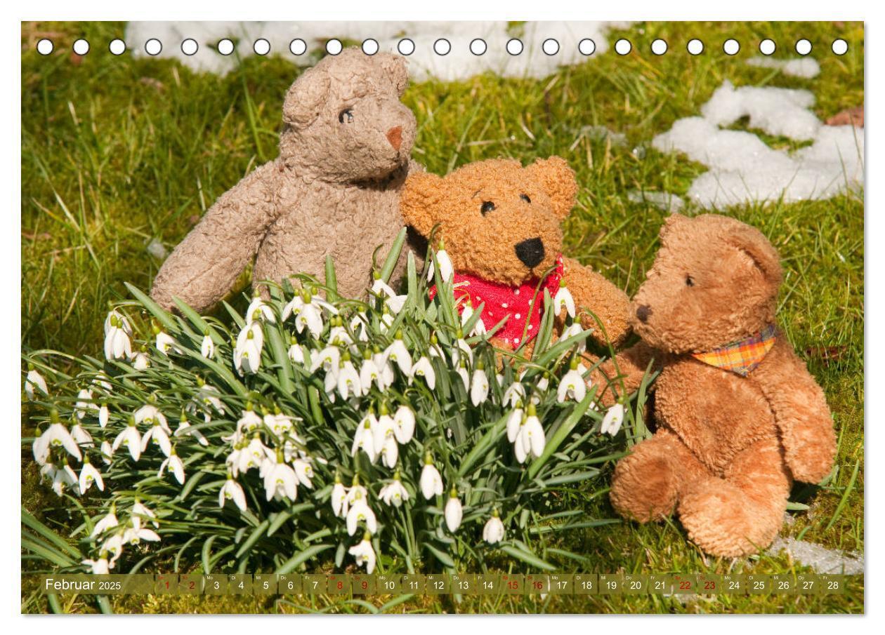 Bild: 9783435410842 | Kunterbunte Bärenwelt - Teddys (Tischkalender 2025 DIN A5 quer),...