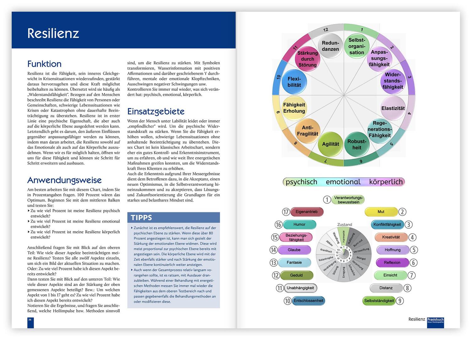 Bild: 9783863747213 | Praxisbuch Neue Homöopathie. Band 2 | Christina Baumann (u. a.) | Buch